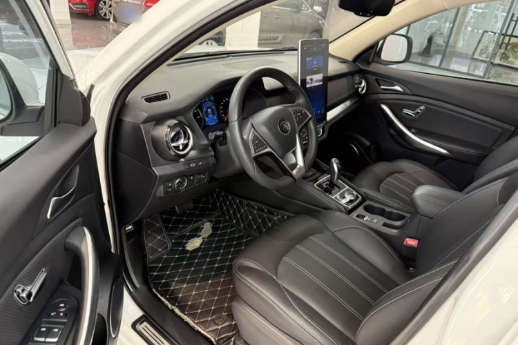 BYD Song New Energy 2018 immagine di auto #15