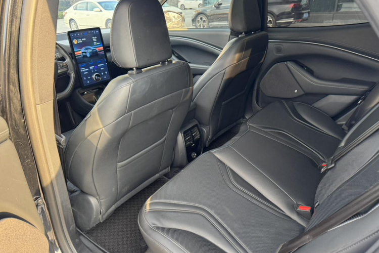 Ford Mustang Mach-E 2023 #15 Ford Mustang Mach-E 2023 car image #15