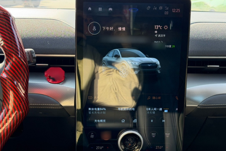 Ford Mustang Mach-E 2023 car image #15