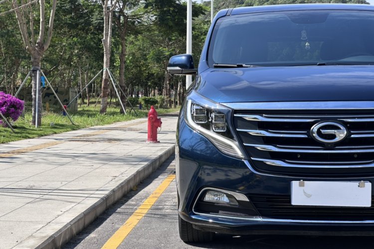 GAC Trumpchi M8 2019 car image #15