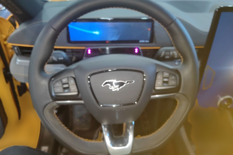 Ford Mustang Mach-E 2023 car image #15