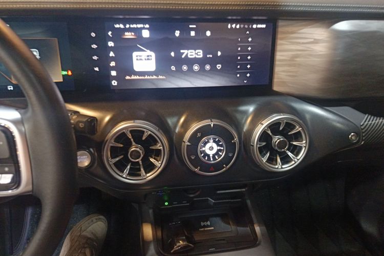 Tank 300 2022 car image #15