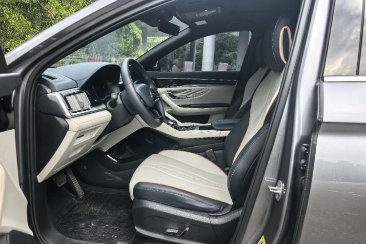 BYD Song Plus New Energy 2021 immagine di auto #15