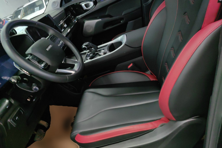 Haval Dargo 2023 car image #15