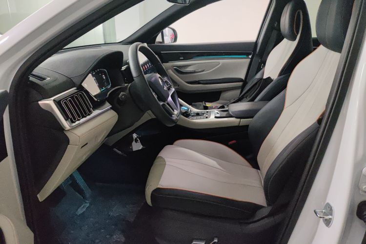 比亚迪 宋PLUS新能源 2022 汽车图片 #15