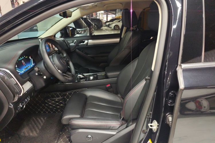 BYD Tang New Energy 2018 car image #15