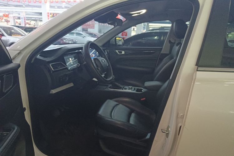 Showjet 2020 image de voiture #15