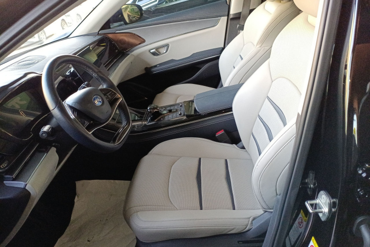 BYD e9 2021 car image #15