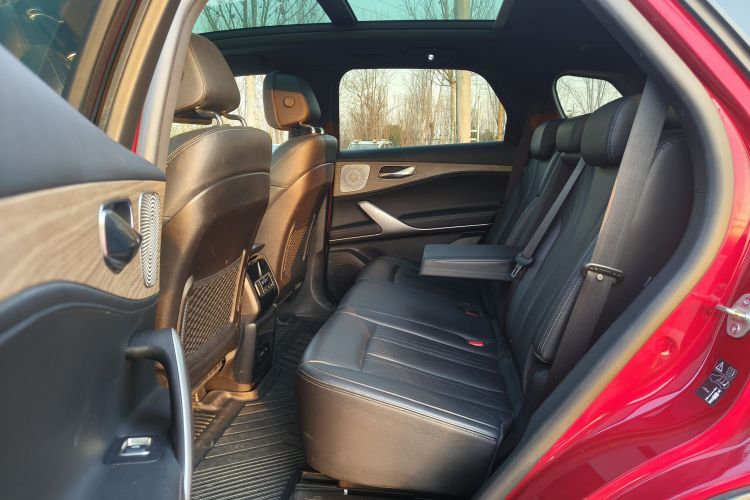 Denza X 2020 #15 Denza X 2020 car image #15