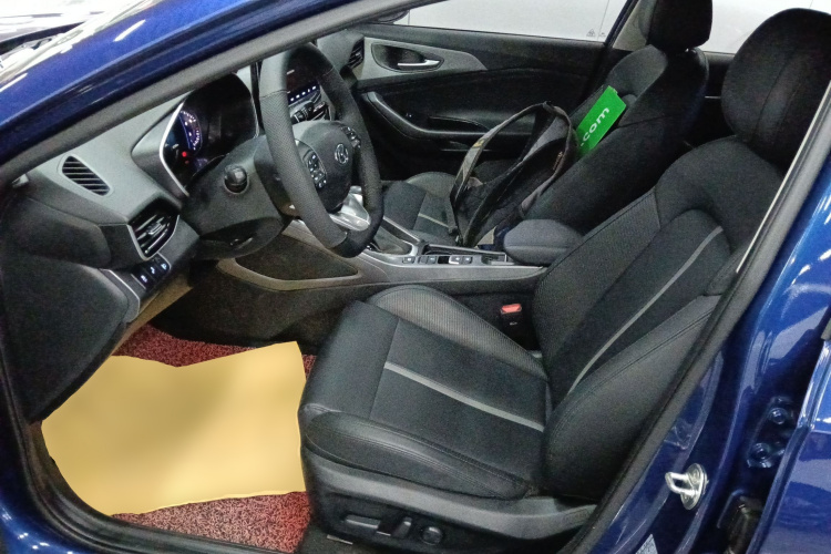 Hyundai Lafesta 2020 imagen de coche #15