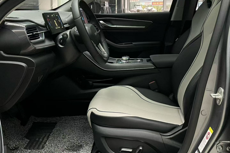 BYD Destroyer 05 2023 car image #15