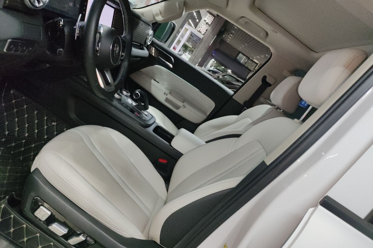 Tank 300 New Energy 2024 car image #15