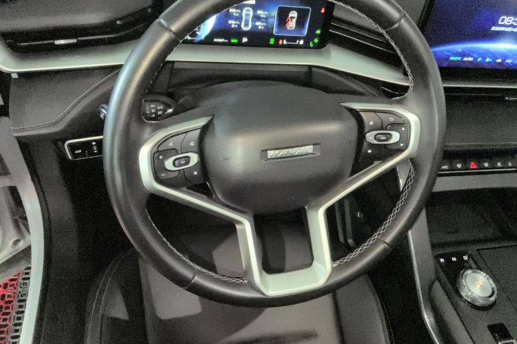 Haval H6 2022 immagine di auto #15