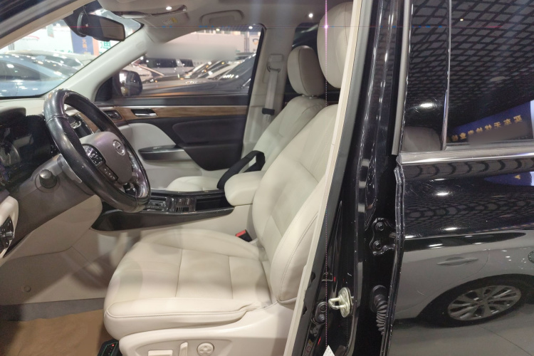 GAC Trumpchi GS8 2019 #15 GAC Trumpchi GS8 2019 imagem de carro #15