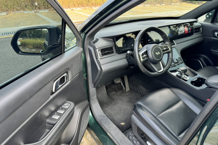 Li One 2022 imagem de carro #15