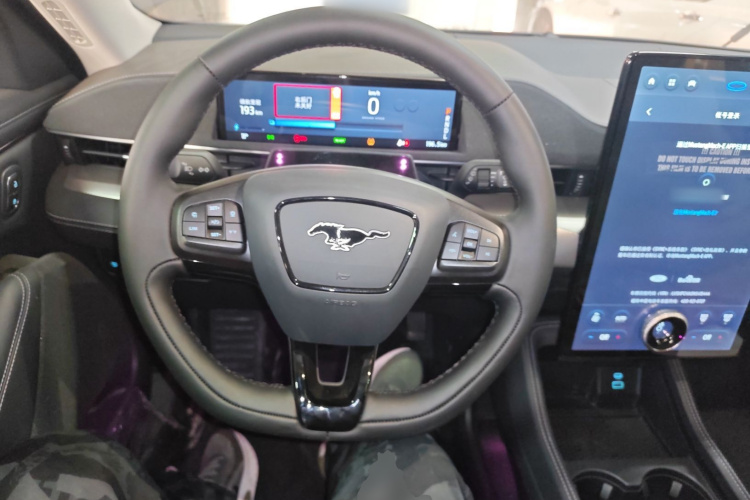 Ford Mustang Mach-E 2023 car image #15