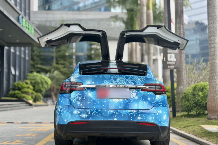Tesla Model X 2019 immagine di auto #15