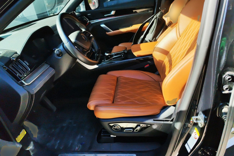 BYD Tang New Energy 2023 car image #15