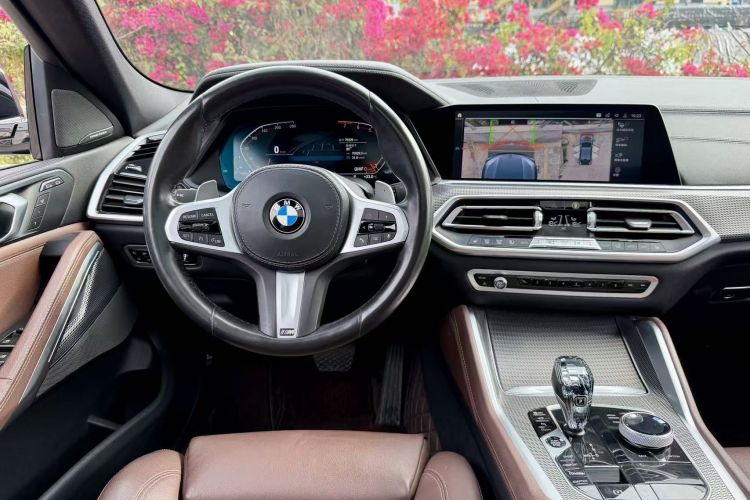 BMW X6 2020 car image #15