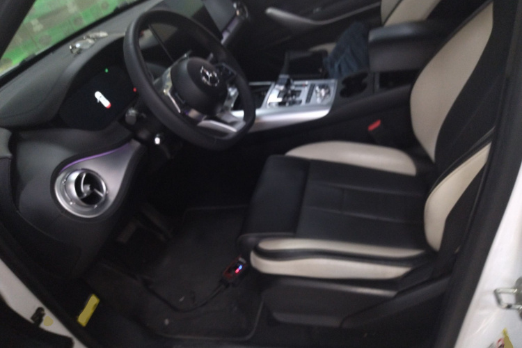 Denza X 2020 #15 Denza X 2020 car image #15