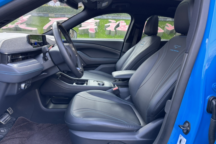 Ford Mustang Mach-E 2022 car image #15