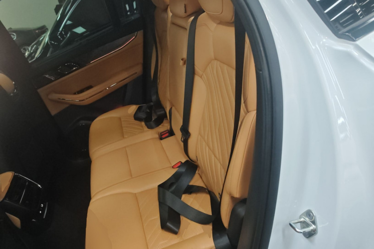 Lynk & Co 09 EM-P 2022 car image #15