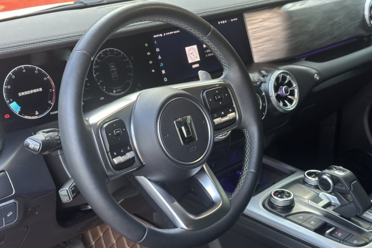 Tank 300 2022 car image #15