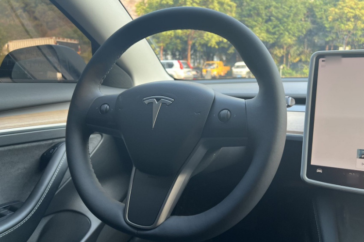 Tesla Model 3 2022 #15 Tesla Model 3 2022 car image #15