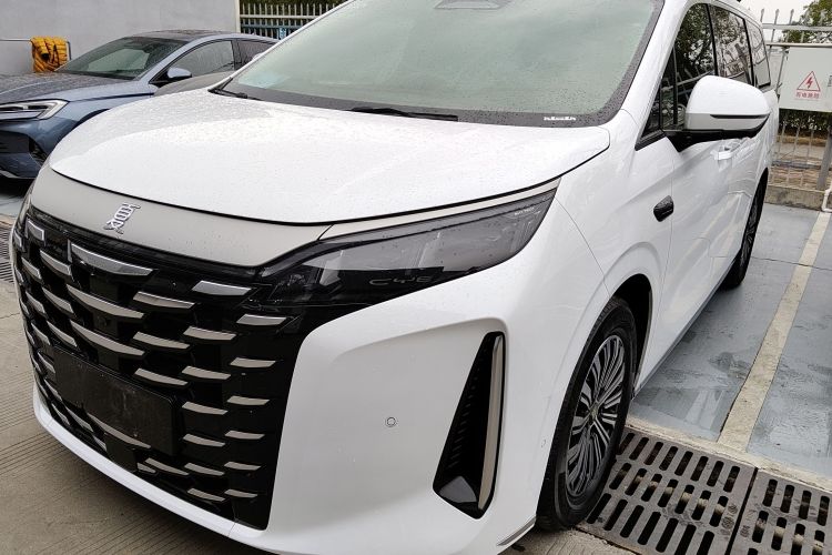 BYD Xia 2024 car image #15