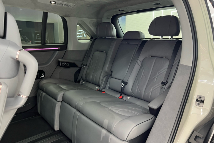 极氪 极氪MIX 2024 汽车图片 #15