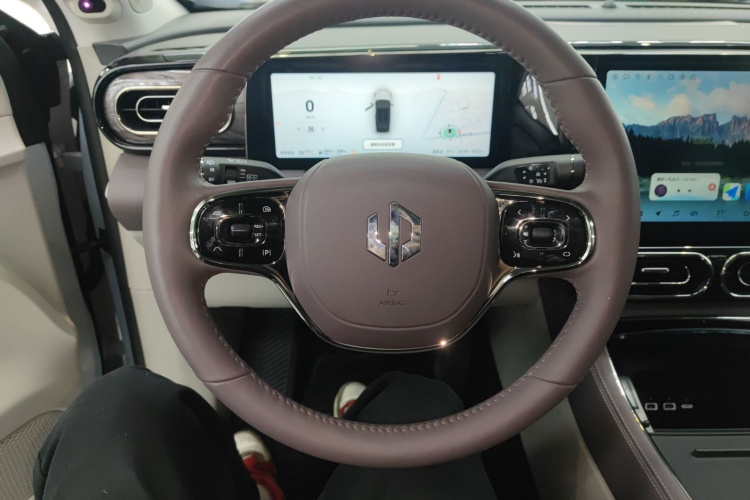 Leapmotor C11 2023 car image #15