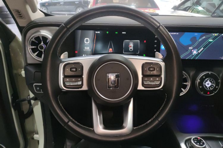 Tank 300 2021 immagine di auto #15