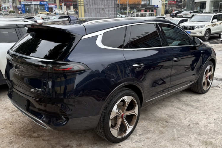 Denza X 2020 car image #15