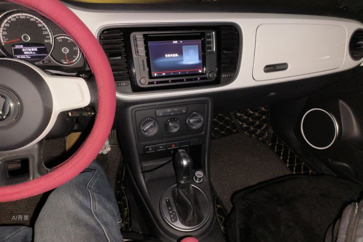 Volkswagen Beetle 2016 immagine di auto #15