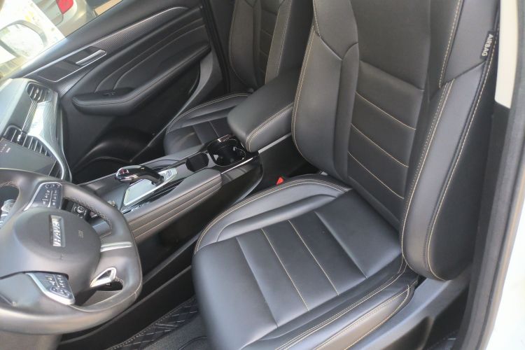 Haval F7x 2020 #15 Haval F7x 2020 car image #15