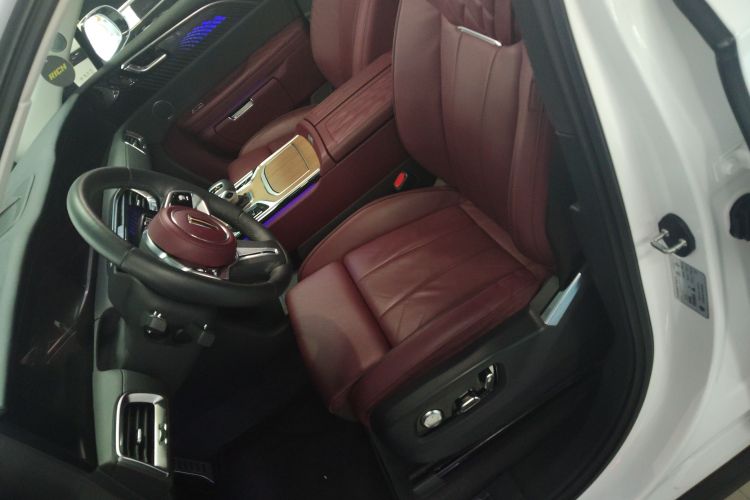 HongQi E-HS9 2023 #15 HongQi E-HS9 2023 car image #15