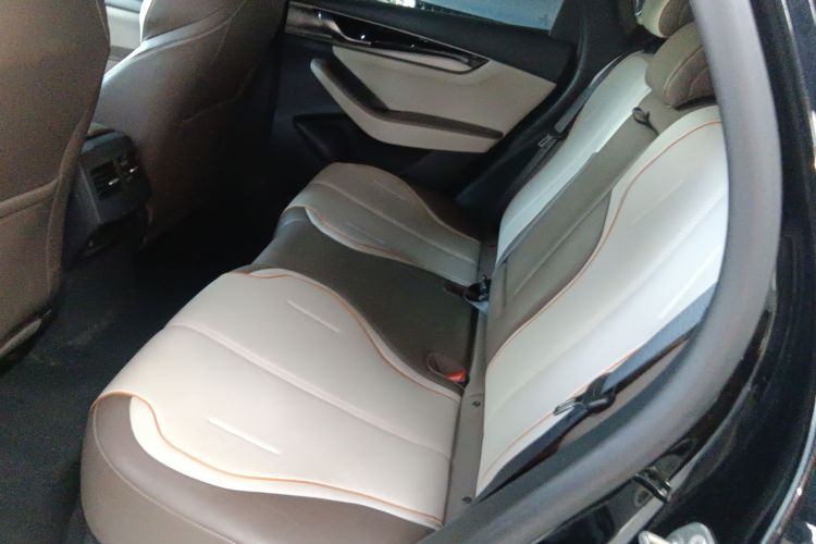 BYD Qin Plus 2024 car image #15