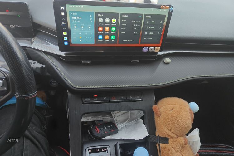 Haval H6S 2022 car image #15