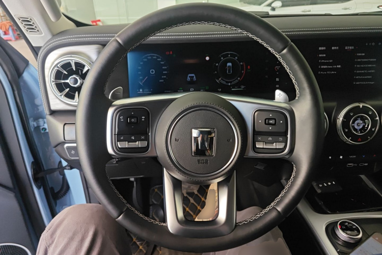 Tank 300 New Energy 2024 car image #15