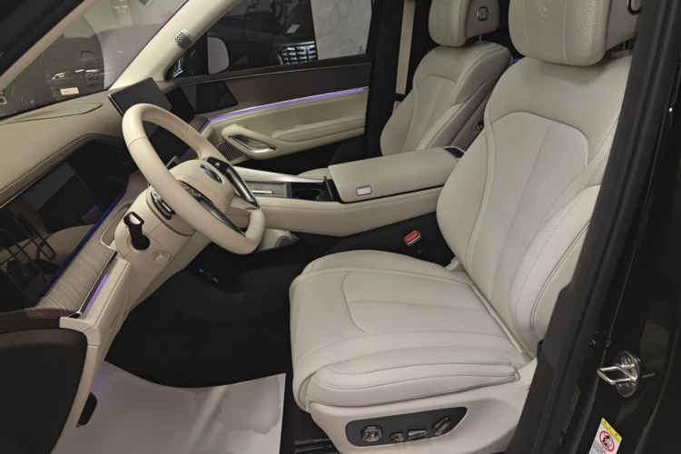 Denza N9 2025 car image #15