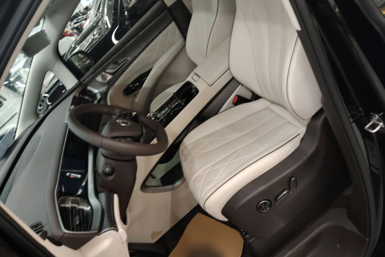Denza D9 2024 car image #15