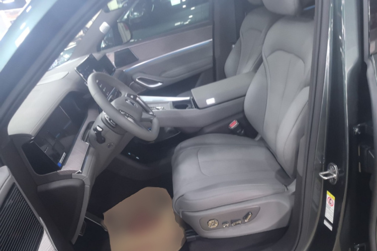 Denza N9 2025 immagine di auto #15