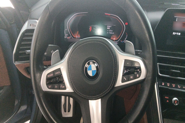 BMW 8 Series 2020 car image #15