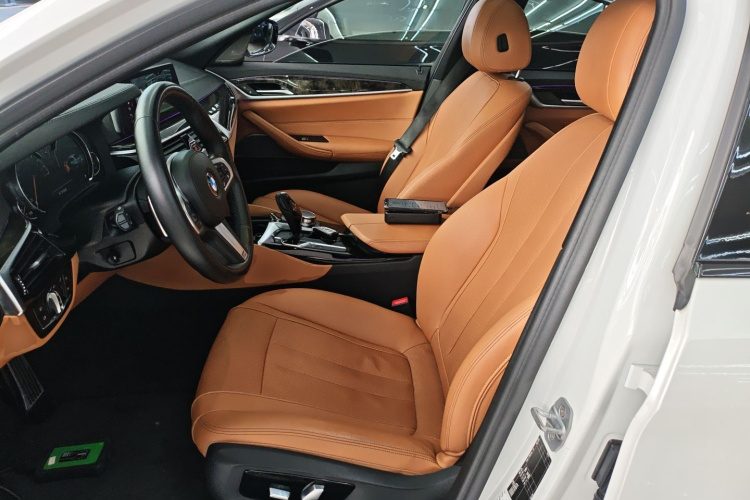 BMW 5 Series 2018 car image #15