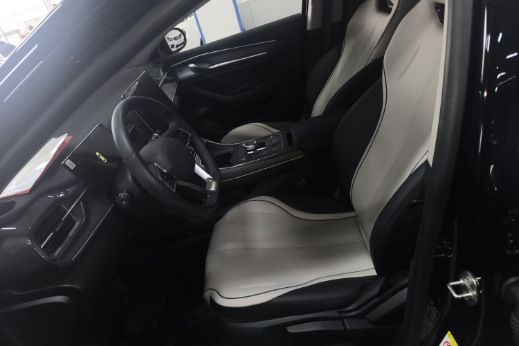 BYD Destroyer 05 2024 car image #15