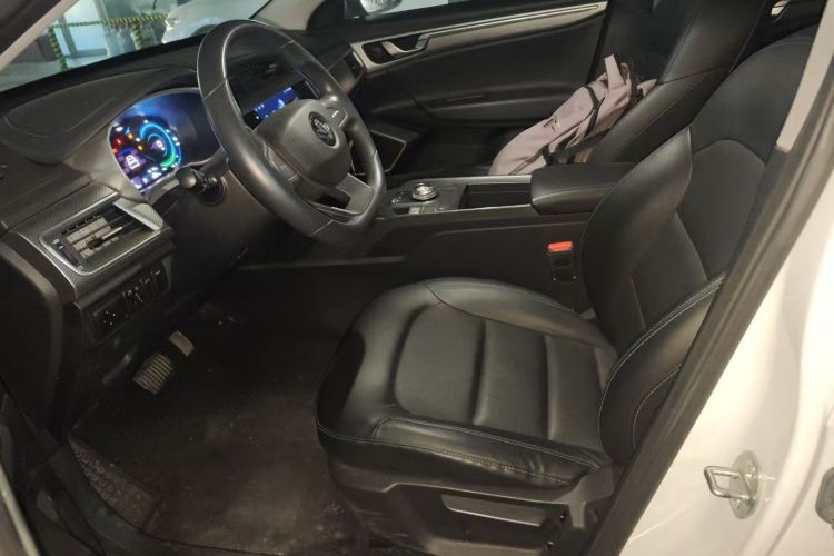 Livan Maple 60S 2024 imagen de coche #15