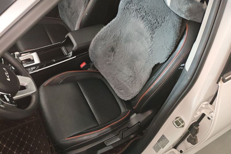 Kia Seltos 2024 car image #15