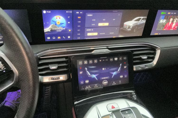 HongQi E-HS9 2023 imagem de carro #15