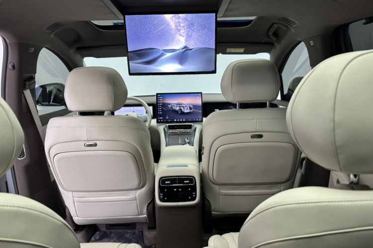 Denza 2025 car image #15