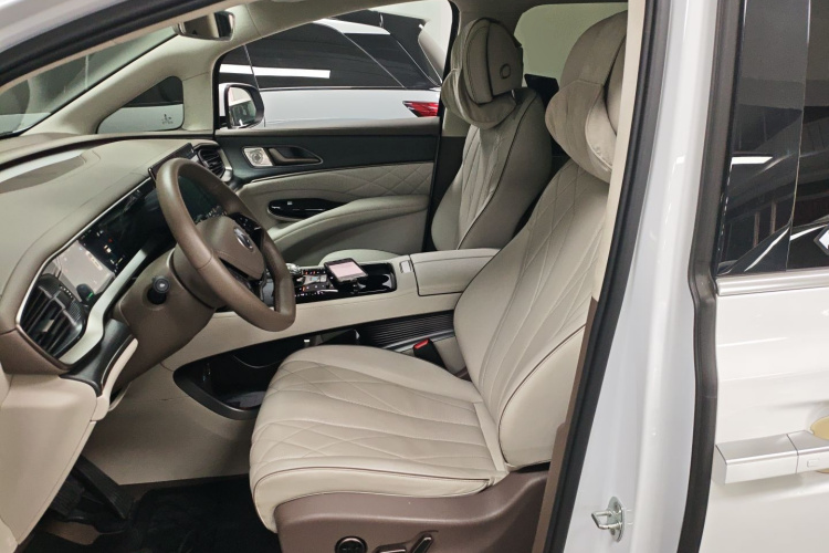 Denza D9 2023 car image #15